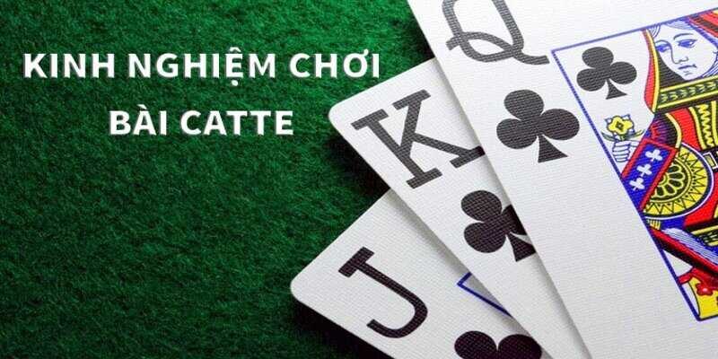 Đôi chút thông tin về game catte trực tuyến